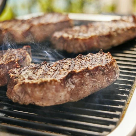 Barbecue Electrique Lumin Compact Sur Stand - Black - WEBER 12 Barbecue Electrique Lumin Compact Sur Stand - Black - WEBER – Image 10