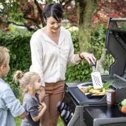 Barbecue Gaz Rogue 365 R 2 Brûleurs - NAPOLEON -Célèbre Barbecue Magasin barbecue gaz rogue 365 serie r 2 bruleurs 2