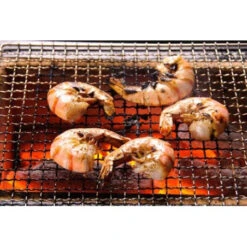 Barbecue Japonais Konro Stove 54 X 23 X 20 Cm BQ8WF -Célèbre Barbecue Magasin barbecue japonais konro stove 54 x 23 x 20 cm bq8wf 4